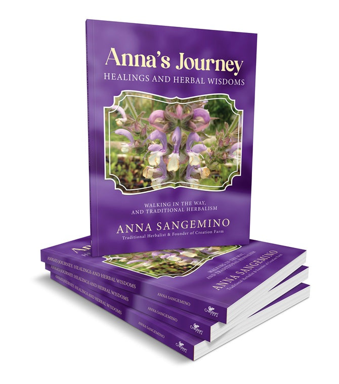 🌿 Introducing “Anna’s Journey: Healing and Herbal Wisdoms”