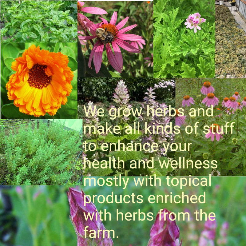 🌿 Understanding Skin Reactions: