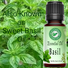 Basil Essential Oil 100% Pure- Albahaca Aceite Esencial - Aceite de Albahaca