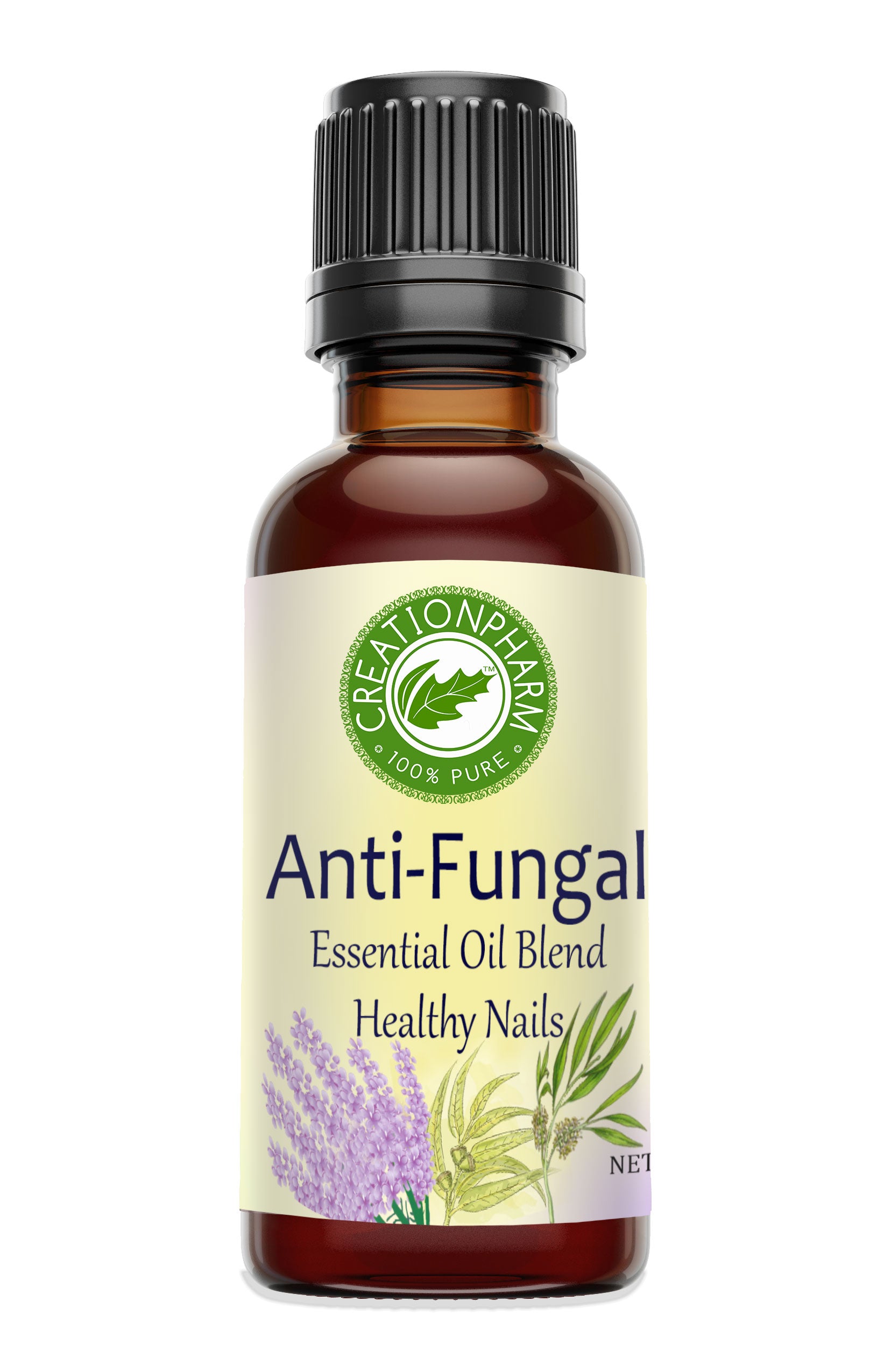 Nail Fungus Treatment Essential Oil 10ml Anti Fungals Toenail Repair Care  Lavender Essential Oil New | Fruugo KR