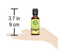 Ginger Essential Oil 30ml (1oz) Creation Pharm - Creation Pharm