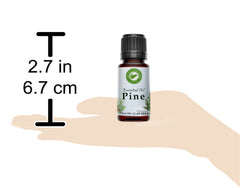 Pine Essential Oil 100% Pure from Creation Pharm -  Aceite esencial de pino - Creation Pharm