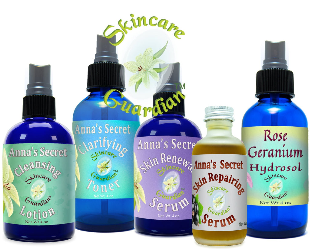 SkinCare Guardian Five-Step Facial System